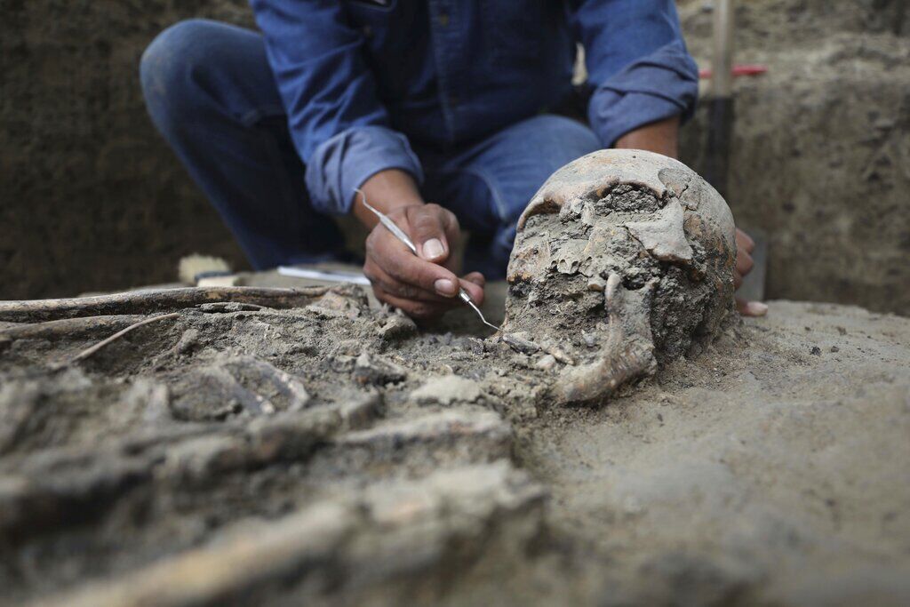 APTOPIX Colombia Skeleton